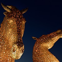 Buy canvas prints of The Kelpies lit orange by Stephen Taylor