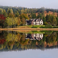 Buy canvas prints of Forest Lodge by Stephen Taylor