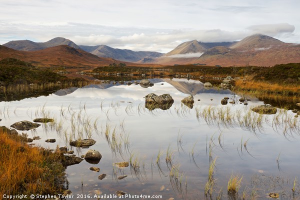 The Landscape of Rannoch Moor Picture Board by Stephen Taylor