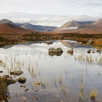 Buy canvas prints of The Landscape of Rannoch Moor by Stephen Taylor
