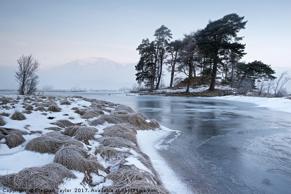 A new day at Loch Tulla Picture Board by Stephen Taylor
