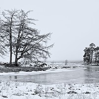 Buy canvas prints of Winter on Loch Tulla by Stephen Taylor