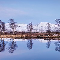 Buy canvas prints of Dusk at Loch Ba by Stephen Taylor