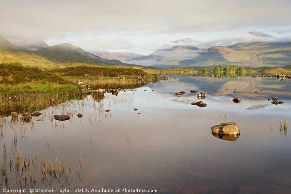 Morning on Rannoch Moor Picture Board by Stephen Taylor