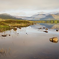 Buy canvas prints of Morning on Rannoch Moor by Stephen Taylor