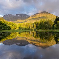 Buy canvas prints of Summer at the Torren Lochan by Stephen Taylor