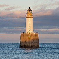 Buy canvas prints of Rattray Head Lighthouse by Stephen Taylor
