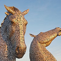 Buy canvas prints of Sunkissed Kelpies by Stephen Taylor