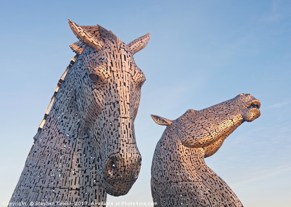 First Light at the Kelpies Picture Board by Stephen Taylor