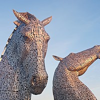 Buy canvas prints of First Light at the Kelpies by Stephen Taylor