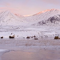Buy canvas prints of Rannoch Moor Winter Sunrise by Stephen Taylor
