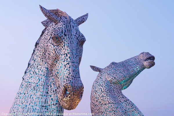 The Kelpies at Sunset Picture Board by Stephen Taylor