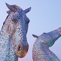 Buy canvas prints of The Kelpies at Sunset by Stephen Taylor