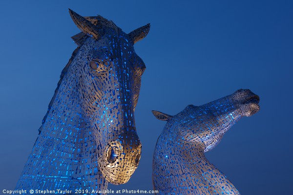 Blue Kelpies Picture Board by Stephen Taylor