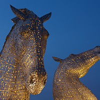 Buy canvas prints of Yellow Kelpies by Stephen Taylor