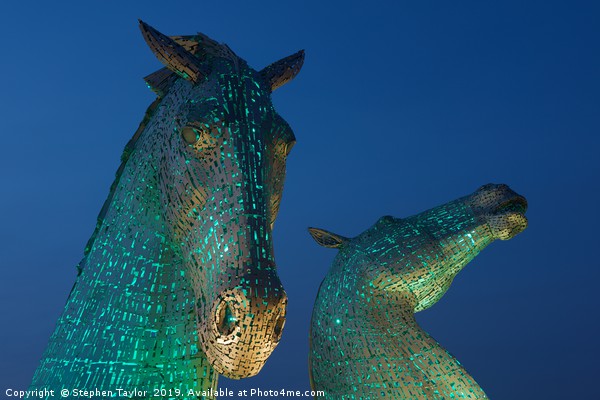 Green Kelpies Picture Board by Stephen Taylor