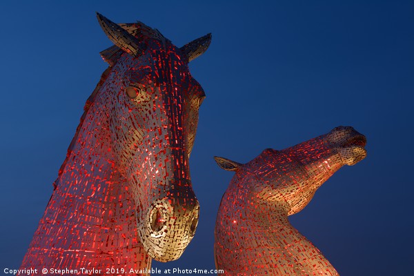 Red Kelpies Picture Board by Stephen Taylor