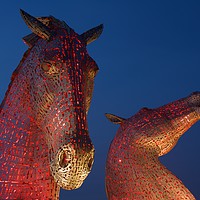 Buy canvas prints of Red Kelpies by Stephen Taylor