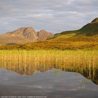 Buy canvas prints of Blaven reflected by Stephen Taylor