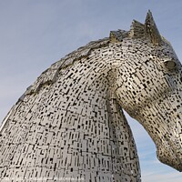 Buy canvas prints of A Kelpie by Stephen Taylor