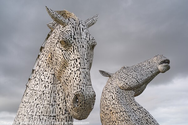 The Kelpies Picture Board by Stephen Taylor