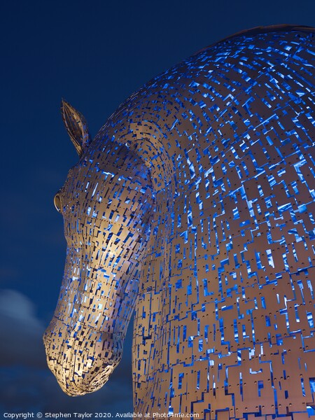 The Kelpies at night Picture Board by Stephen Taylor