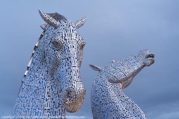 The Kelpies Picture Board by Stephen Taylor