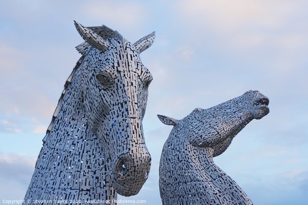 The Kelpies at dawn Picture Board by Stephen Taylor