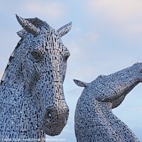 Buy canvas prints of The Kelpies at dawn by Stephen Taylor