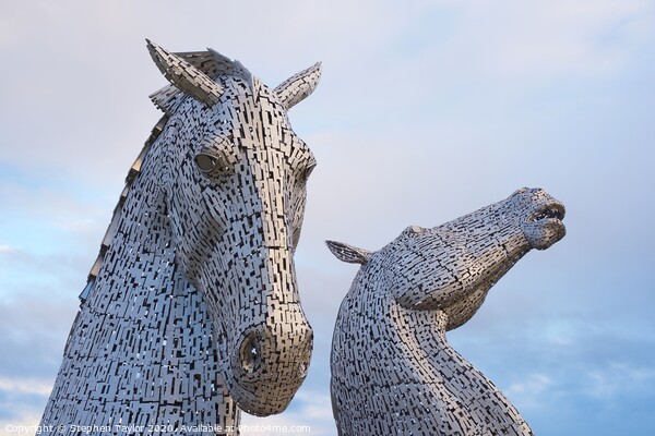 The Kelpies at sunrise Picture Board by Stephen Taylor