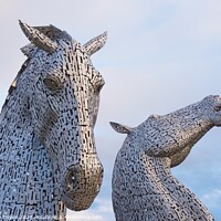 Buy canvas prints of The Kelpies at sunrise by Stephen Taylor