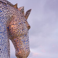 Buy canvas prints of Kelpies at sunset by Stephen Taylor
