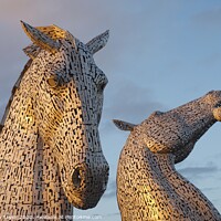 Buy canvas prints of The Kelpies by Stephen Taylor