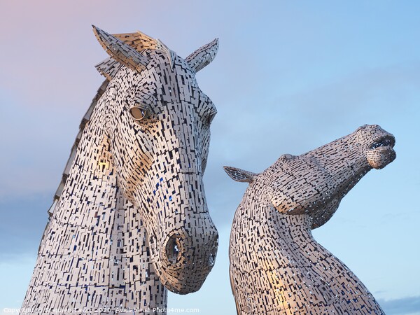 The Kelpies at sunset Picture Board by Stephen Taylor