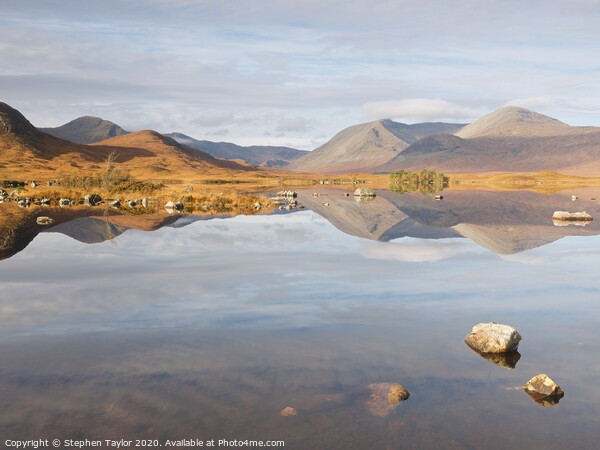 Autumn on Rannoch Moor Picture Board by Stephen Taylor