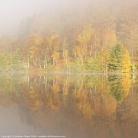 Buy canvas prints of Autumn reflections by Stephen Taylor