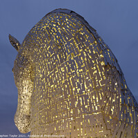 Buy canvas prints of The Kelpies  by Stephen Taylor