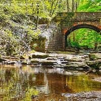 Buy canvas prints of The Majestic Bridge Over Falling Foss by Andy Smith