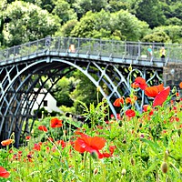 Buy canvas prints of ironbridge gorge with poppies by Andy Smith