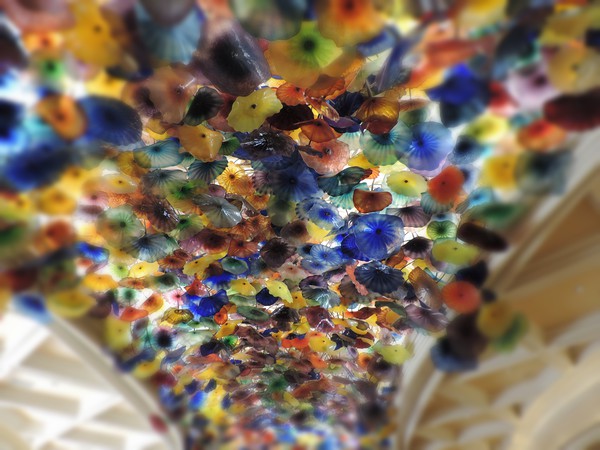  Bellagio Lobby ceiling Picture Board by Andy Smith