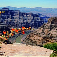 Buy canvas prints of  Grand Canyon Guano Point West Rim by Andy Smith