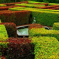 Buy canvas prints of           Scone Palace Maze Perth Scotland by Andy Smith