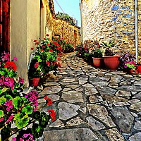 Buy canvas prints of Lace Village Cyprus           by Andy Smith
