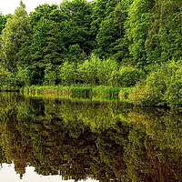 Buy canvas prints of Summer on the canal           by Andy Smith
