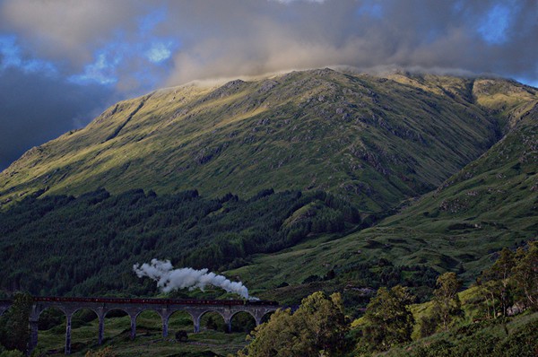 Harry Potter Train Glenfinnan Viaduct Picture Board by Andy Smith