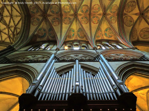 salisbury cathedral organ pipes           Picture Board by Andy Smith