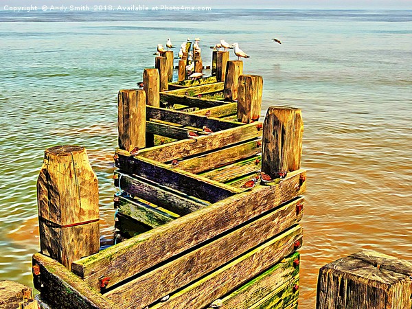 Sea defence Groynes at Walcott Norfolk           Picture Board by Andy Smith