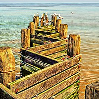 Buy canvas prints of Sea defence Groynes at Walcott Norfolk           by Andy Smith