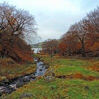 Buy canvas prints of Dovestones autumn colours by Andy Smith