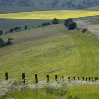 Buy canvas prints of The Angles and colours of the Ditchling South Down by James Bennett (MBK W